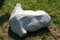 /album/a2007-08-kozy-zula-diorit/koza-zula-5-jpg/